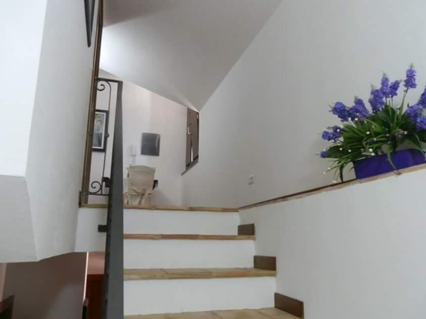 Villa Ai Monaci Montano Antilia Exterior foto
